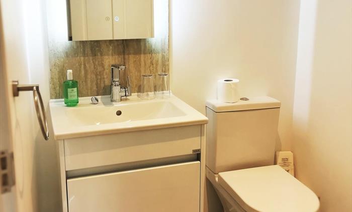 Room 2 - Shower Ensuite